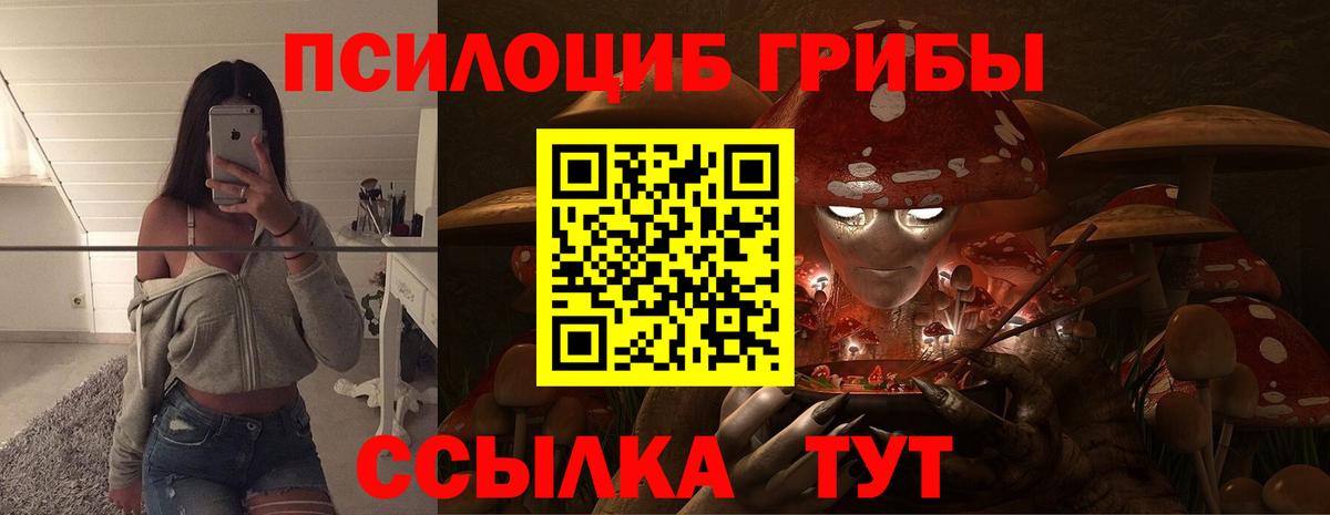 Вичуга  Псилоцибиновые грибы Psilocybe  Вход с VPN 